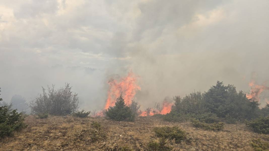 Konya Derbent’te orman yangını çıktı 16